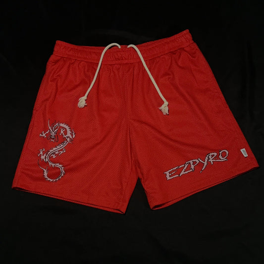 EZP Shorts